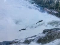 Plakat bei Baileys Chutes  &ndash; &copy; Elisabeth Fox-Maerki (Eberhardt TRAVEL)