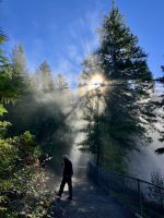 Wanderungen in Wells Grey Provinz Park &ndash; &copy; Elisabeth Fox-Maerki (Eberhardt TRAVEL)