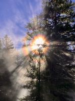Die Sonne lacht bei den Helmcken Falls &ndash; &copy; Elisabeth Fox-Maerki (Eberhardt TRAVEL)