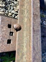 Der letzte Nagel der CPR Schiene wurde hier eingeschlagen &ndash; &copy; Elisabeth Fox-Maerki (Eberhardt TRAVEL)