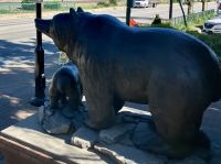 Die Baeren von Revelstoke &ndash; &copy; Elisabeth Fox-Maerki (Eberhardt TRAVEL)