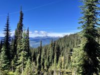 Tolle Aussichten auf die Monashees und Bougaboos &ndash; &copy; Elisabeth Fox-Maerki (Eberhardt TRAVEL)