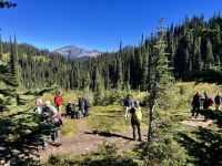 Mittagspause im Revelstoke NP &ndash; &copy; Elisabeth Fox-Maerki (Eberhardt TRAVEL)