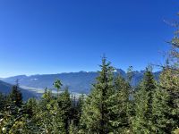 Im Revelstoke National Park  &ndash; &copy; Elisabeth Fox-Maerki (Eberhardt TRAVEL)