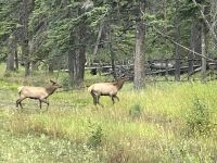 2 von vielen Damen des Harems &ndash; &copy; Elisabeth Fox-Maerki (Eberhardt TRAVEL)