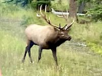 Hop hop, bewegt Euch schneller, 2. Gang bitte ! &ndash; &copy; Elisabeth Fox-Maerki (Eberhardt TRAVEL)