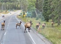 Papa passt auf, dass alle rueber kommen &ndash; &copy; Elisabeth Fox-Maerki (Eberhardt TRAVEL)