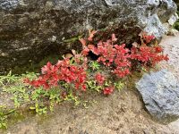 Herbstfarben &ndash; &copy; Elisabeth Fox-Maerki (Eberhardt TRAVEL)