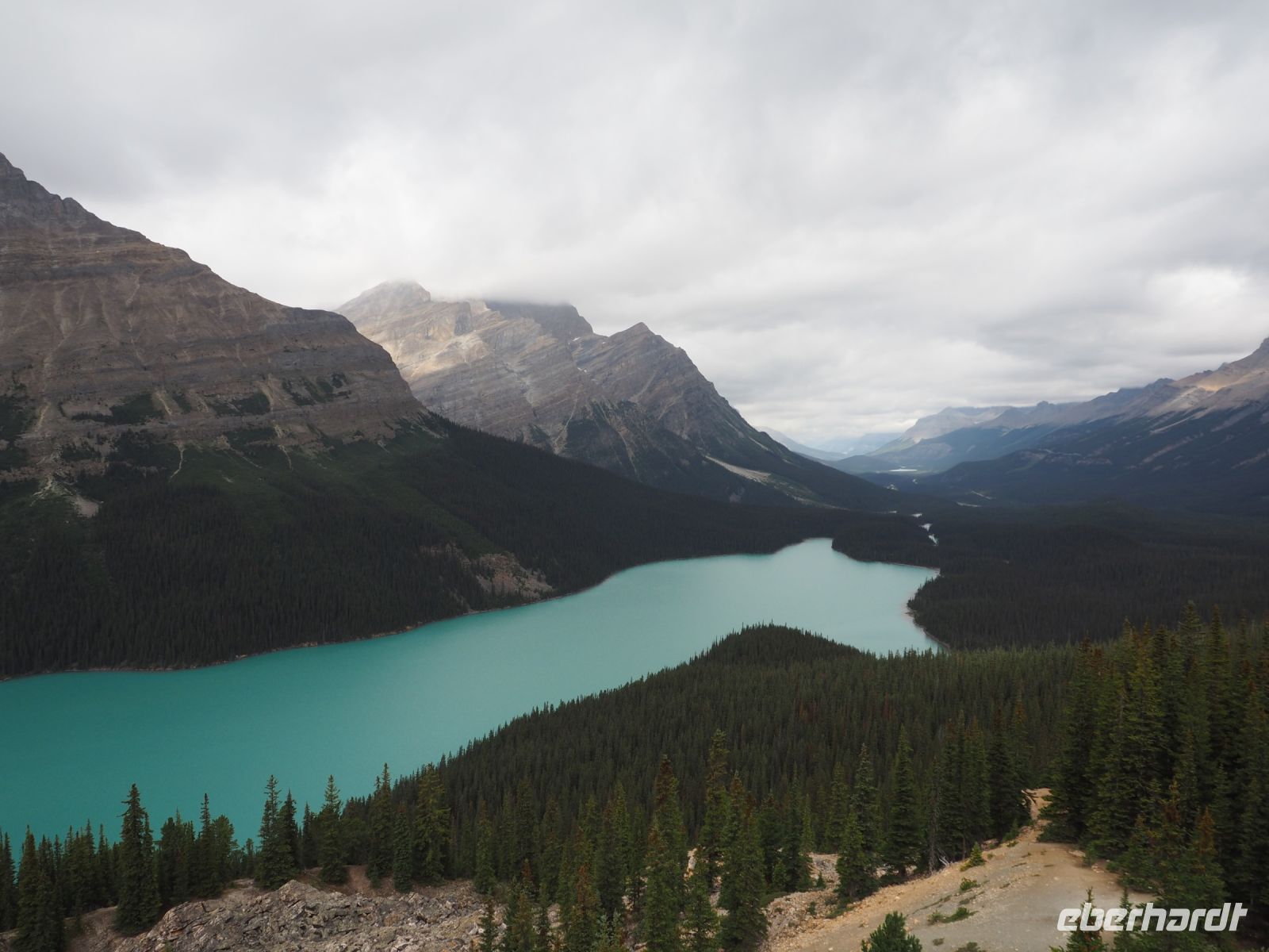 P8250028.JPG, was für eine intensive Farbe