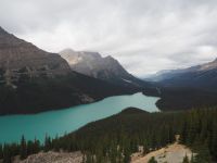 P8250028.JPG, was für eine intensive Farbe