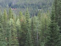 P8260075.JPG, wo ist er denn, der bunte Zug?