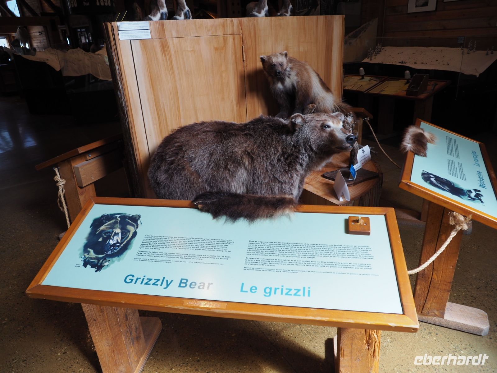 P8260092.JPG, interessante Bären-Ausstellung in einem Besucherzentrum
