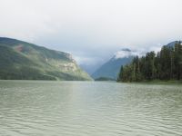 P8280135.JPG, wo sind denn jetzt die Bären, die man hier sehen soll?