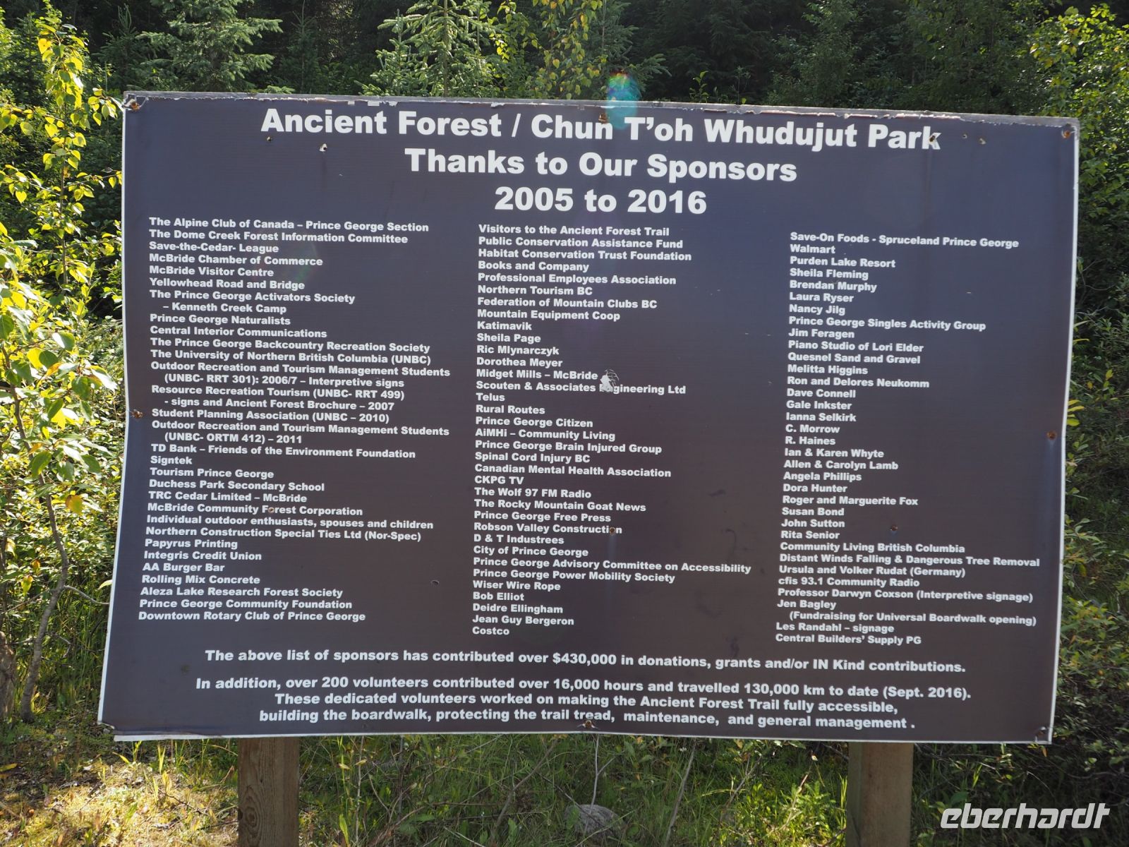 P8280165.JPG, die gute Waldluft im Ancient Forest