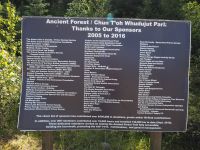 P8280165.JPG, die gute Waldluft im Ancient Forest