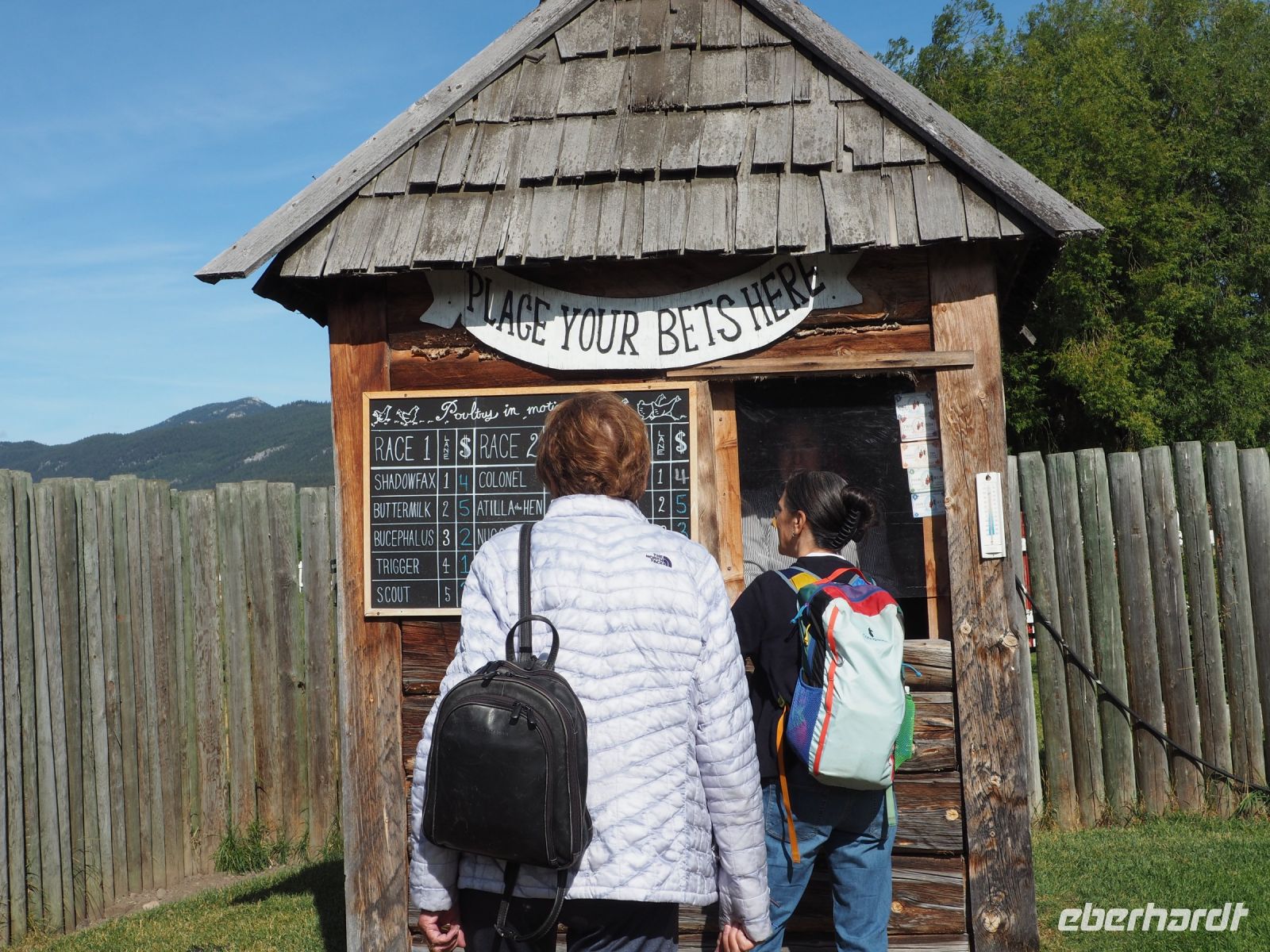 P1010180.JPG, Wetten abschließen für das berühmte Hühnerrennen