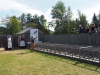 P1010182.JPG, die Hühner gehen in Position