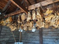 P1010202.JPG, Zeitreise in die Vergangenheit im Fort St. James