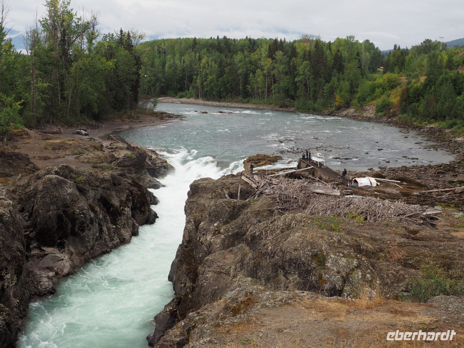 P1010222.JPG, am Moricetown Canyon
