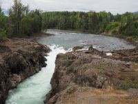 P1010222.JPG, am Moricetown Canyon