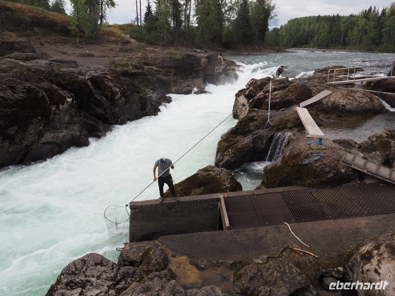 P1010225.JPG, und wir dabei zuschauen dürfen