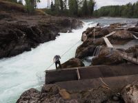 P1010225.JPG, und wir dabei zuschauen dürfen