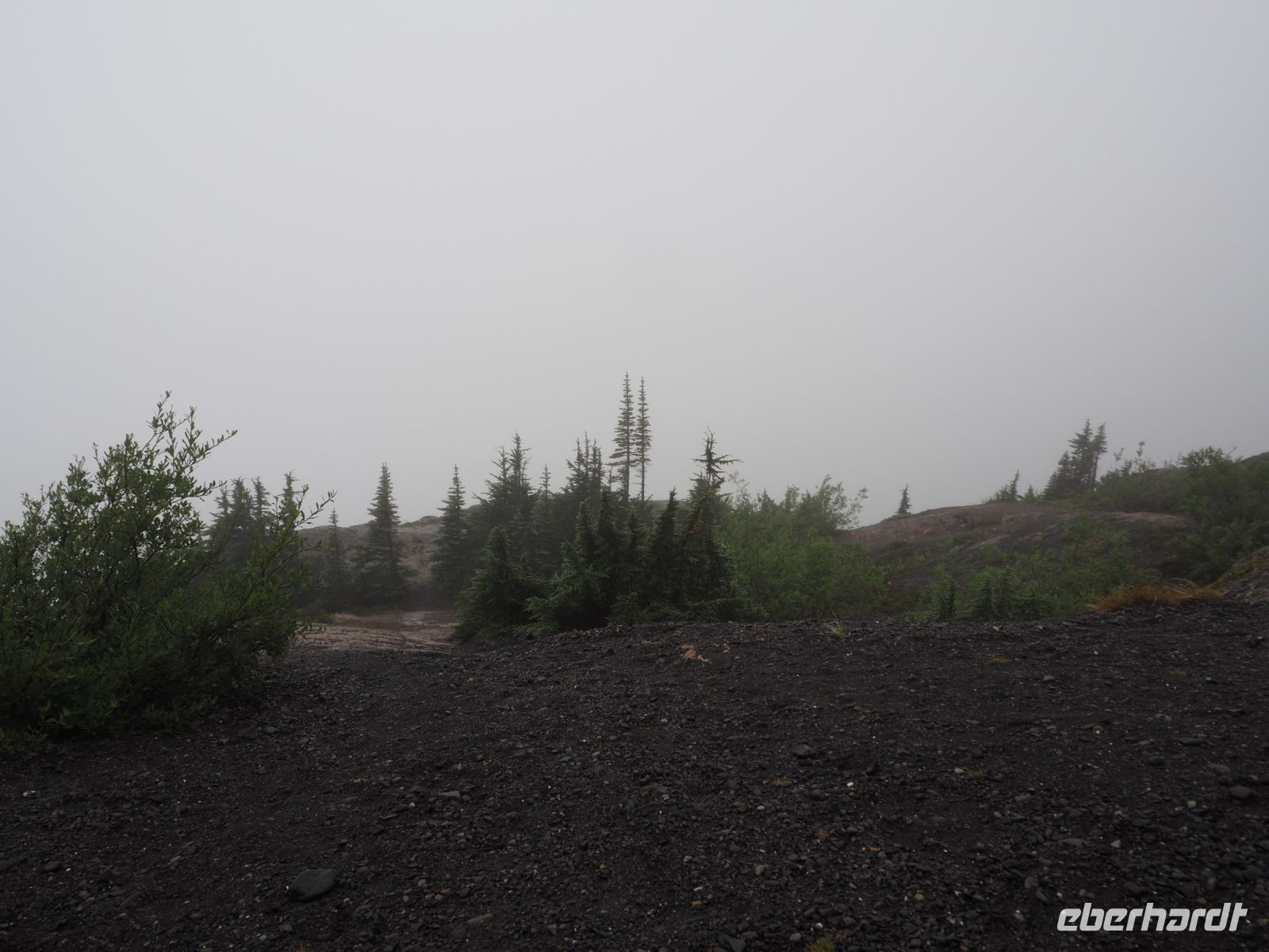 P1010291.JPG, etwas Phantasie ist gefragt