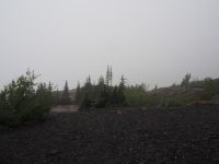 P1010291.JPG, etwas Phantasie ist gefragt