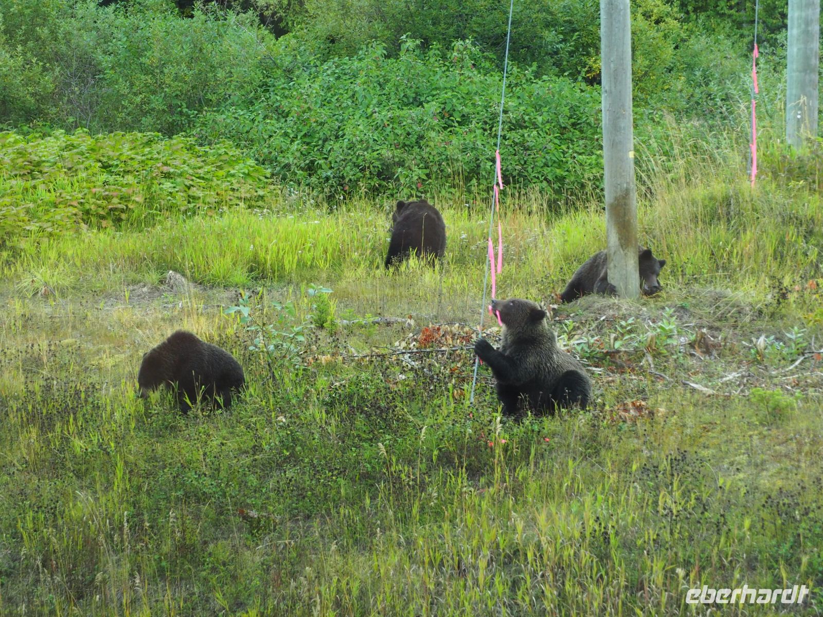 P1010367.JPG, ist das nicht süß?
