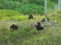 P1010367.JPG, ist das nicht süß?