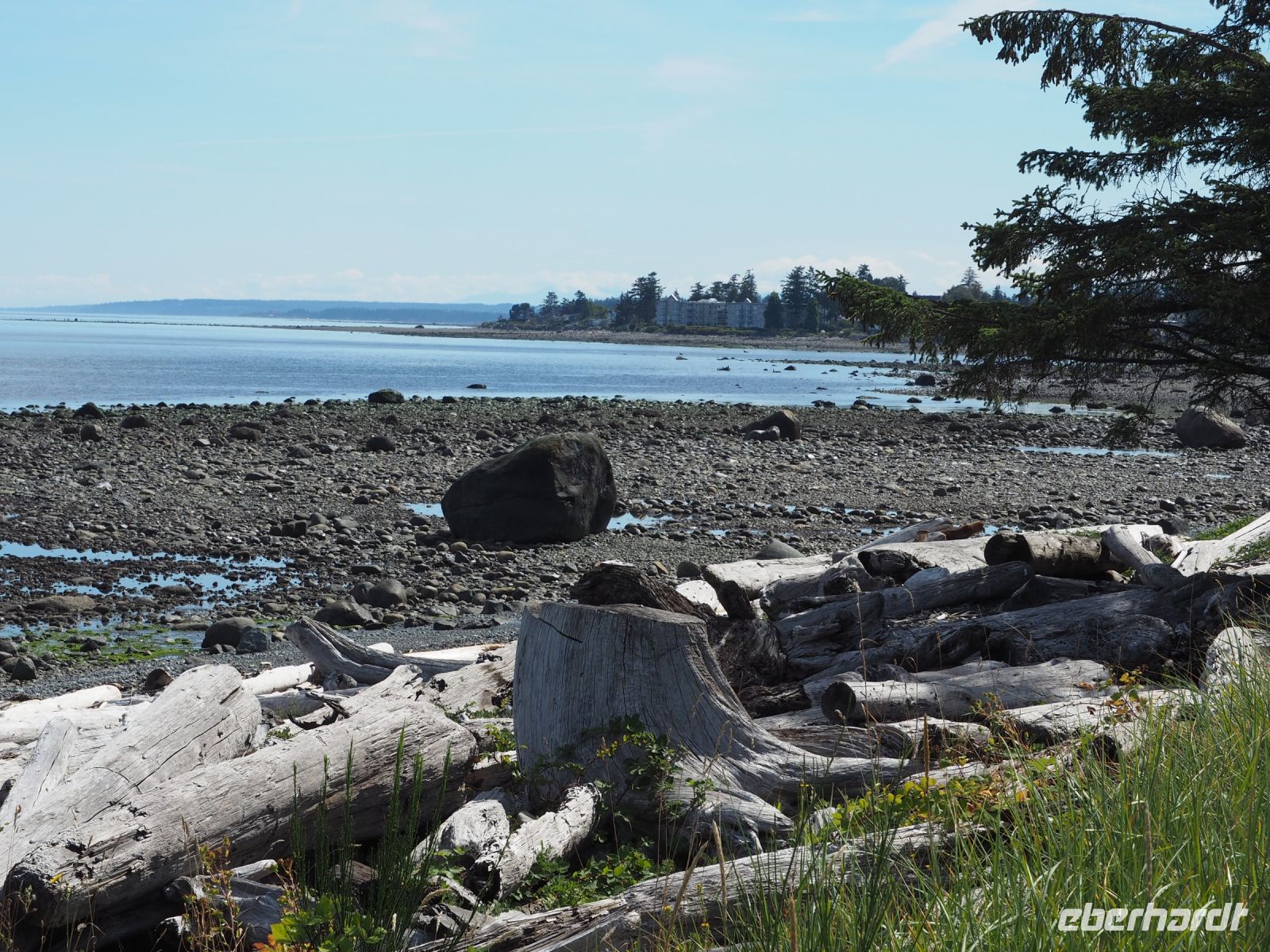 P1010425.JPG, direkt am Wasser bei Ebbe