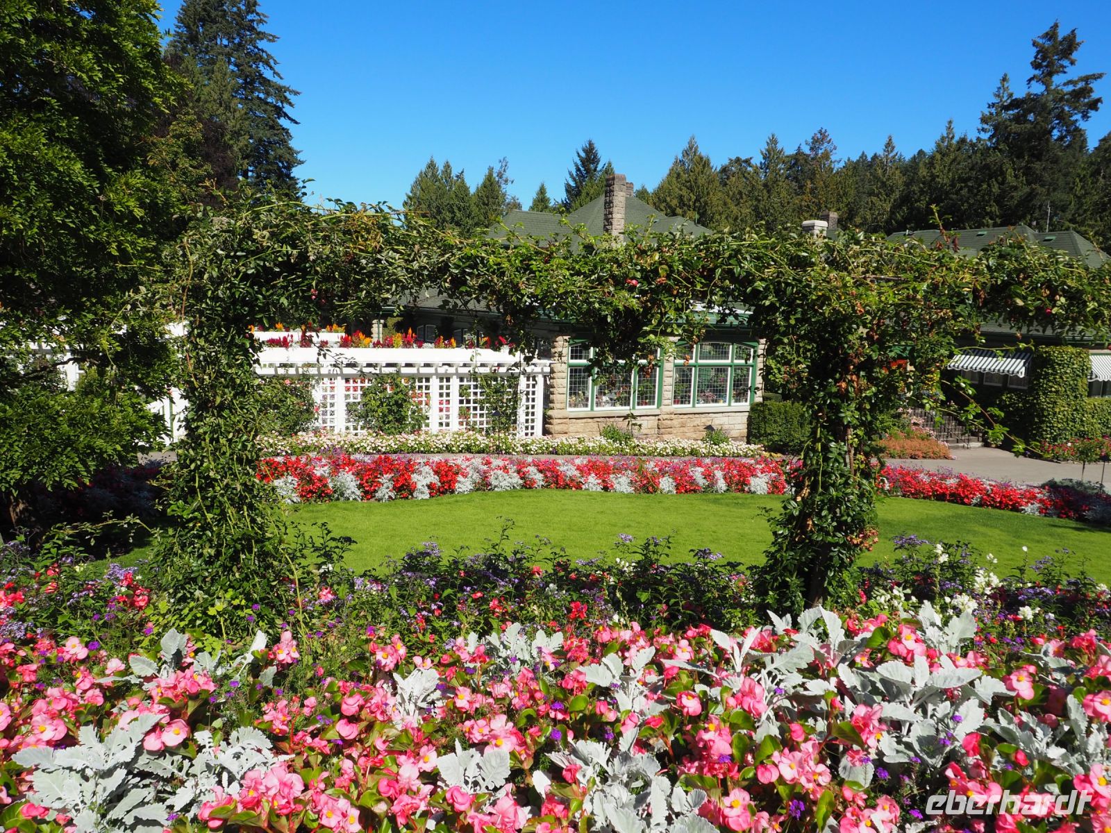 P1010480.JPG, ist die Blumenpracht einzigartig