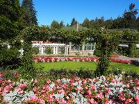 P1010480.JPG, ist die Blumenpracht einzigartig