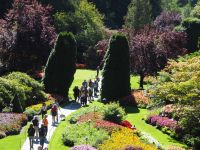 P1010485.JPG, weshalb man dort nicht allein unterwegs ist