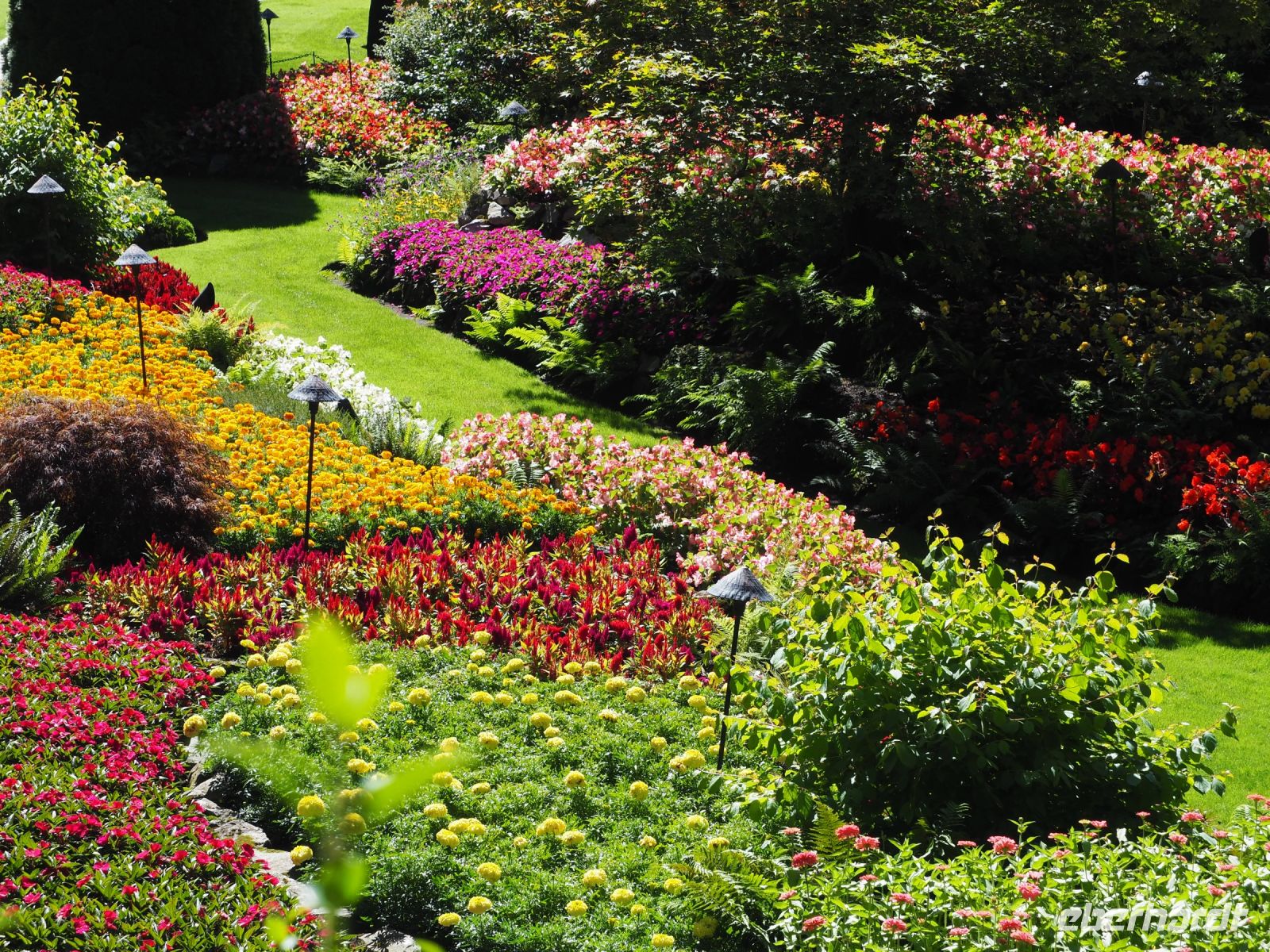 P1010486.JPG, wie geschickt die Farben kombiniert sind