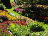 P1010486.JPG, wie geschickt die Farben kombiniert sind