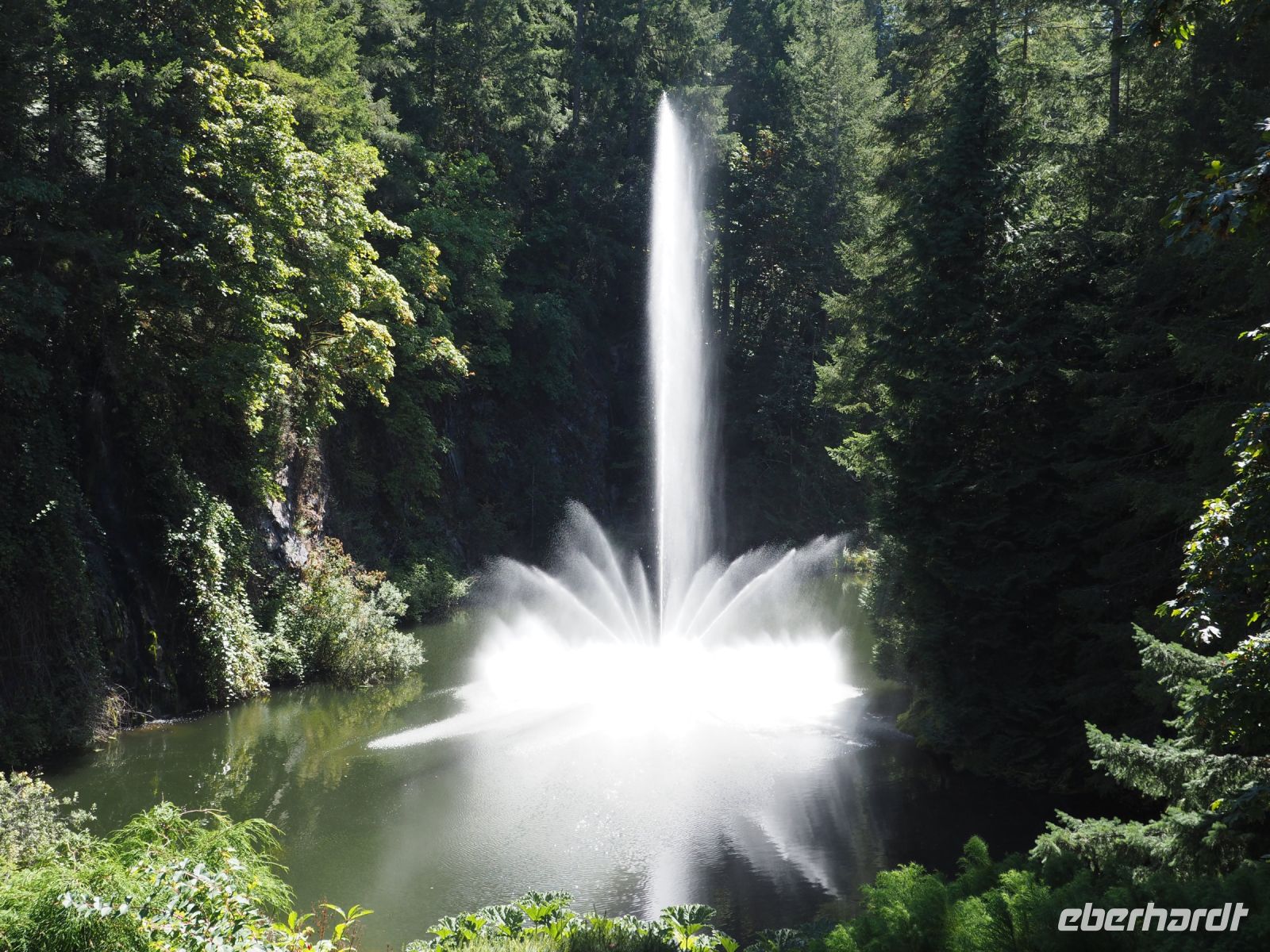P1010490.JPG, die unterschiedlichen Formationen der Fontäne könnte man stundenlang beobachten