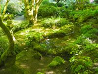 P1010518.JPG, hier sind sicher viele Gärtner beschäftigt