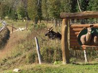 227 Omega Wildpark