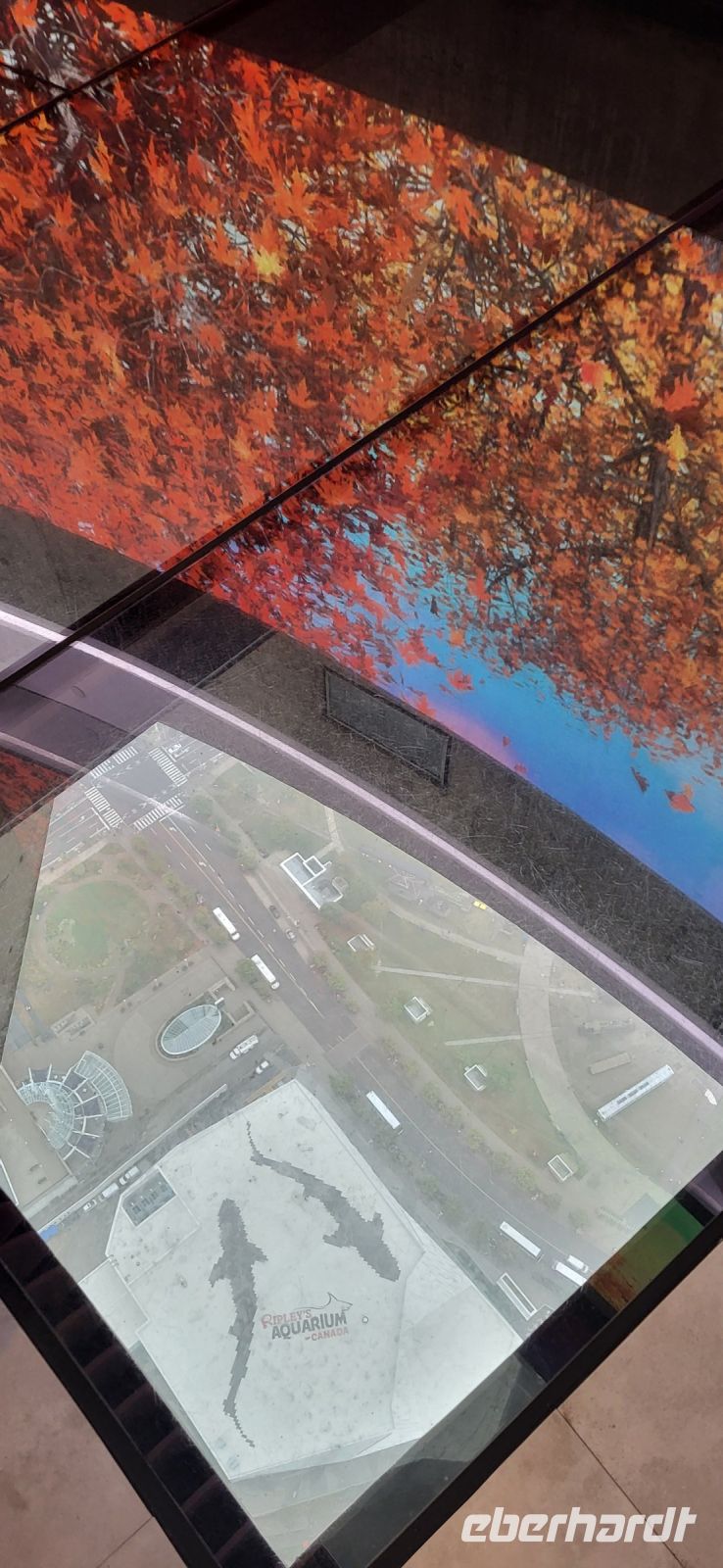 05 Sicht der Glasplattform nach unten 342 m.jpg