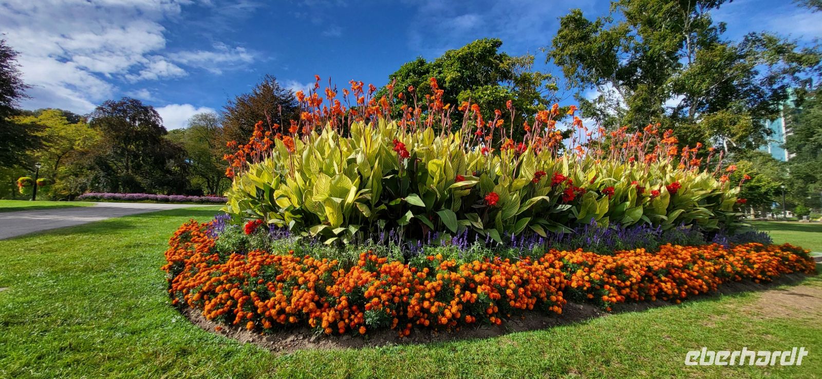 11 herrliche Blumen in Niagara Falls