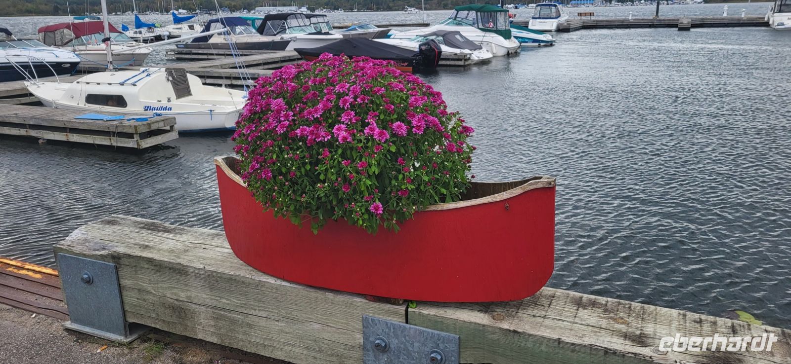 27 Mittagstopp am See