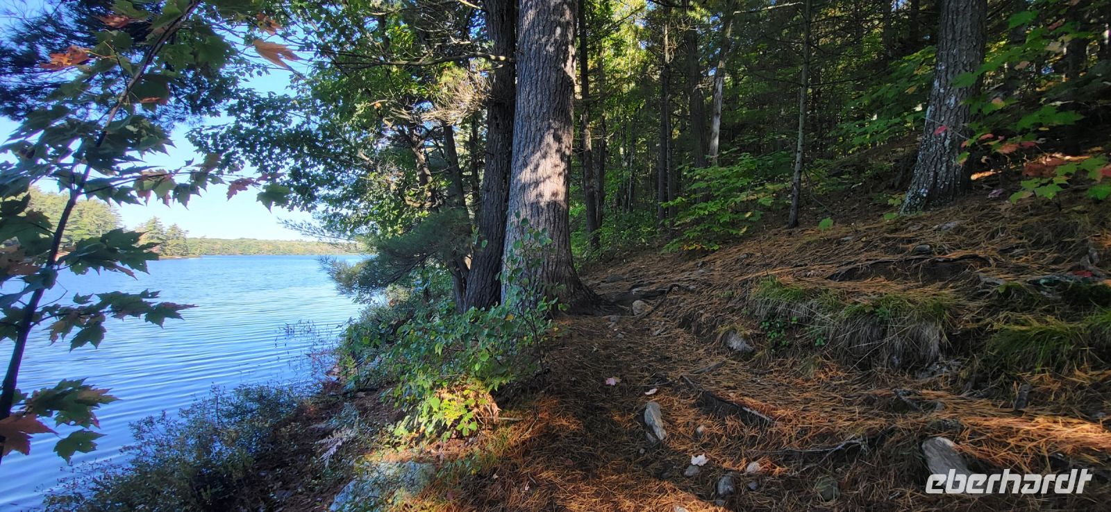 43 Wanderung entlang des Hardy Lakes