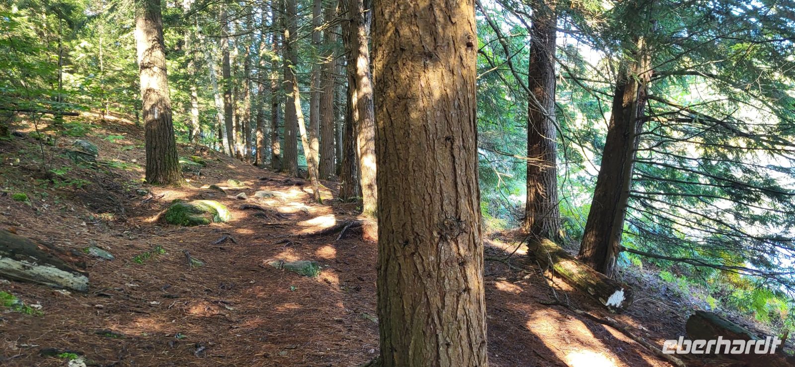 45 Wanderung entlang des Hardy Lakes