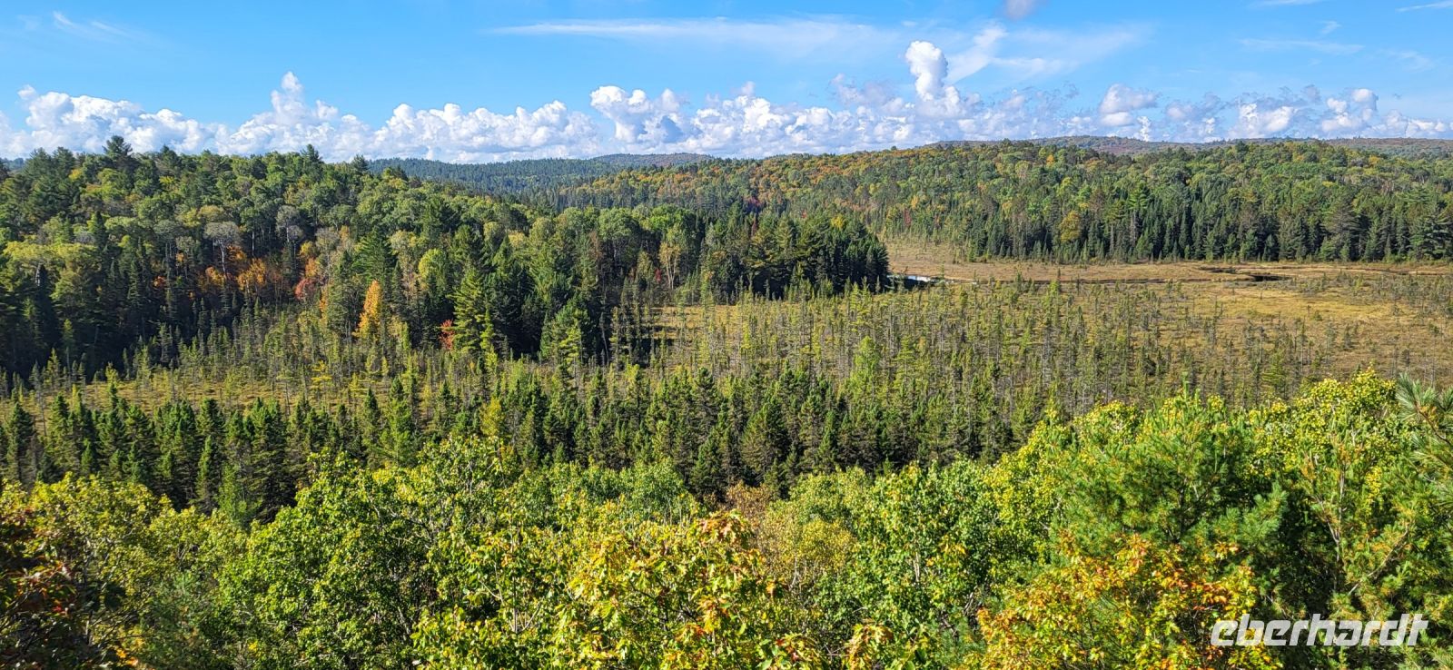 62 Blick in den Algonquin Park