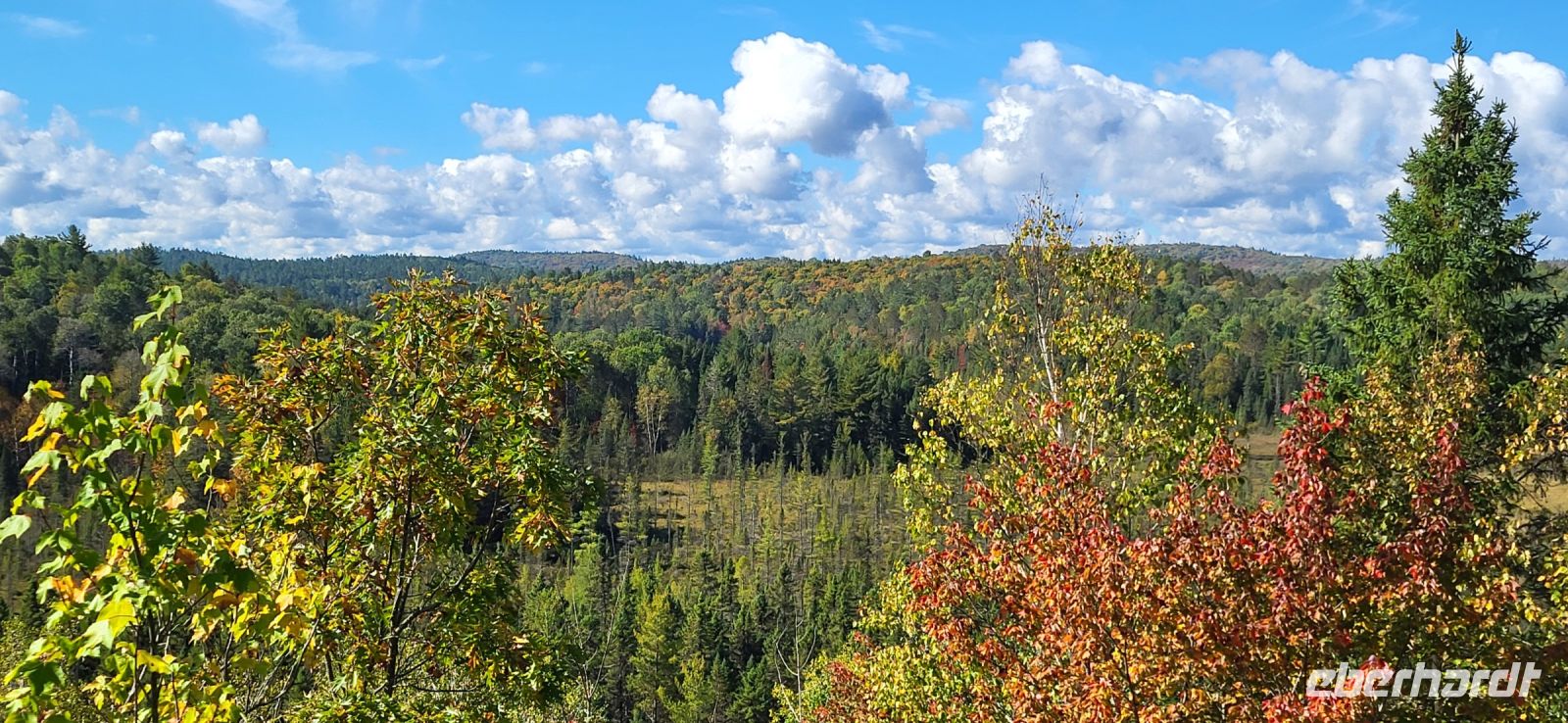 63 Blick in den Algonquin Park