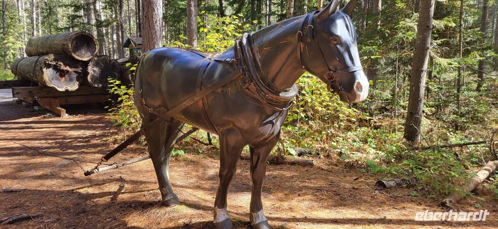 66 einstiger Holztransport per Pferd