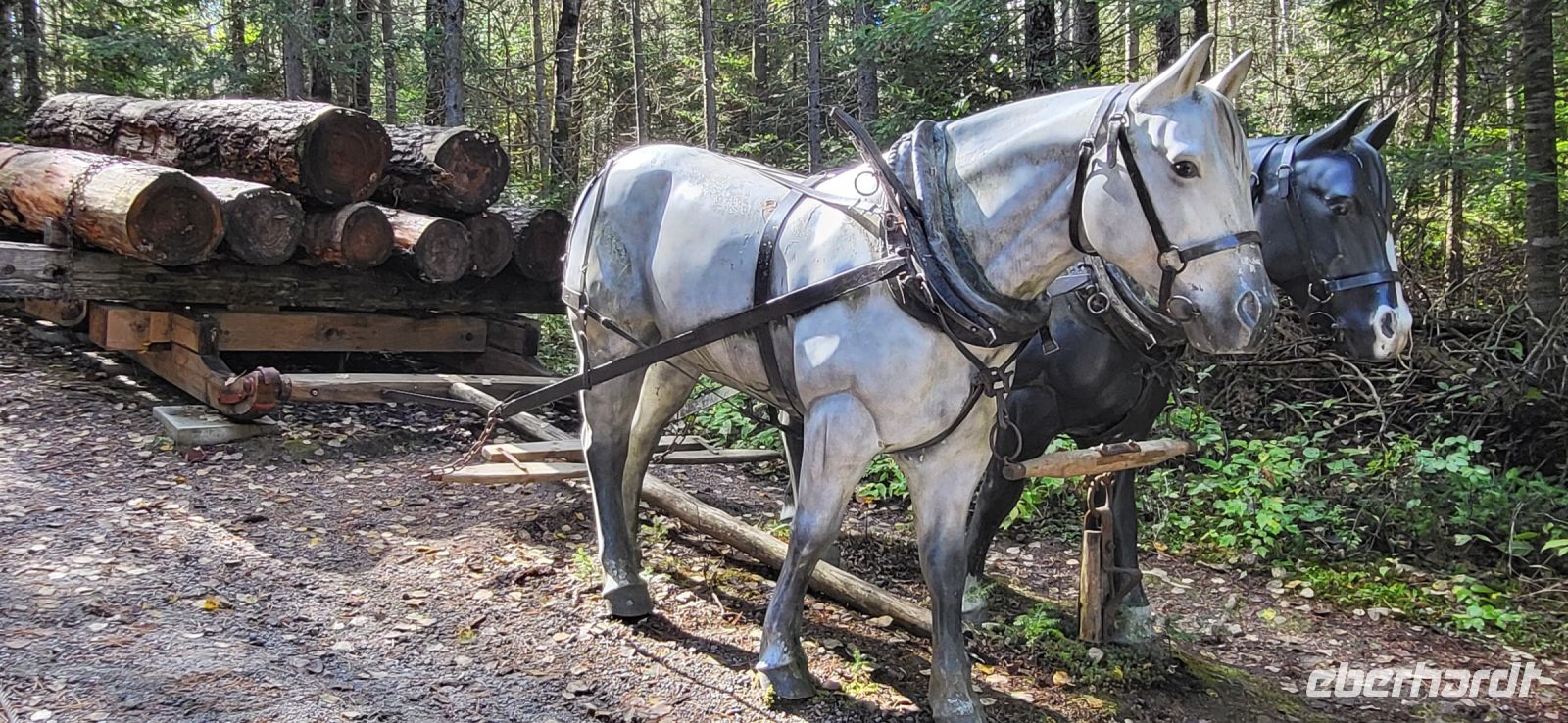 67 einstiger Holztransport per Pferd