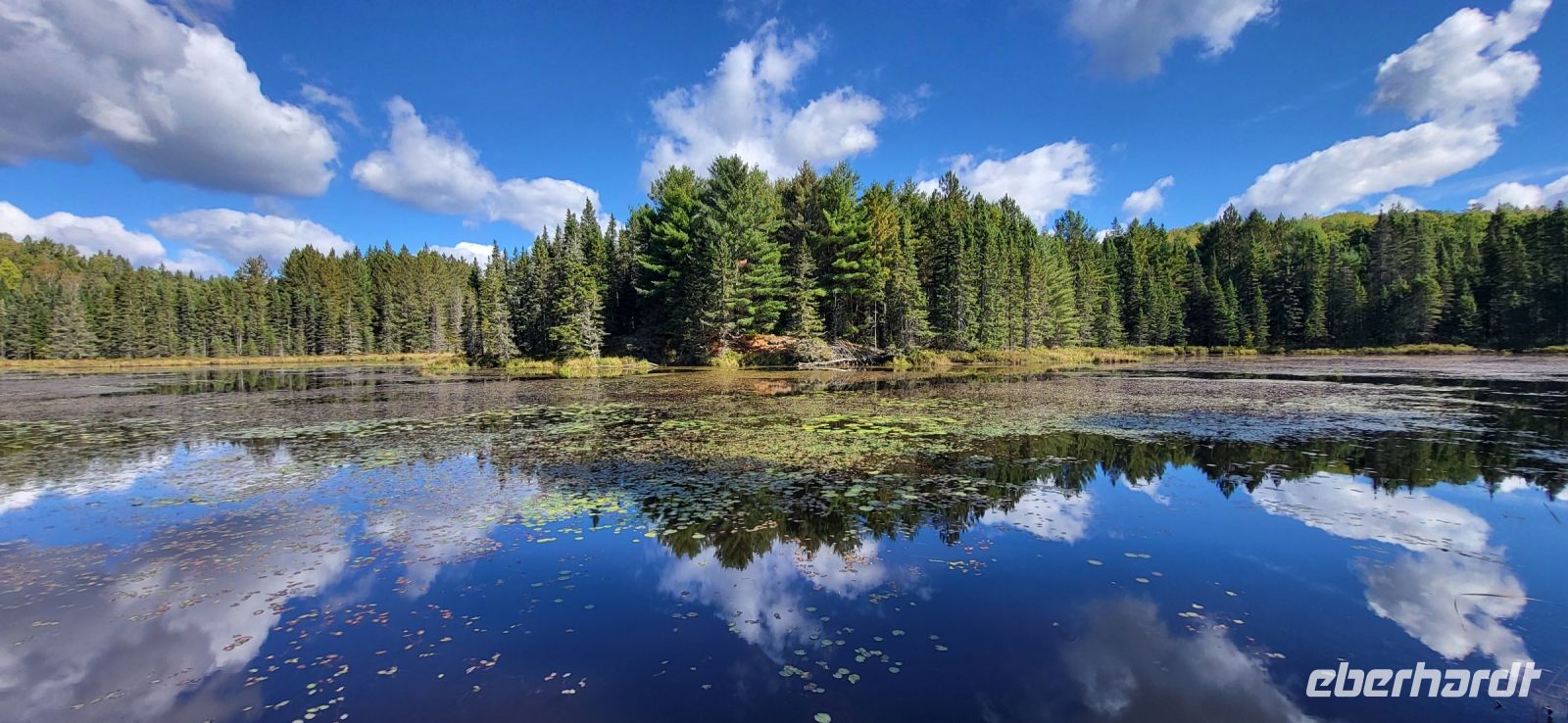 69 Spaziergang Logging Museum