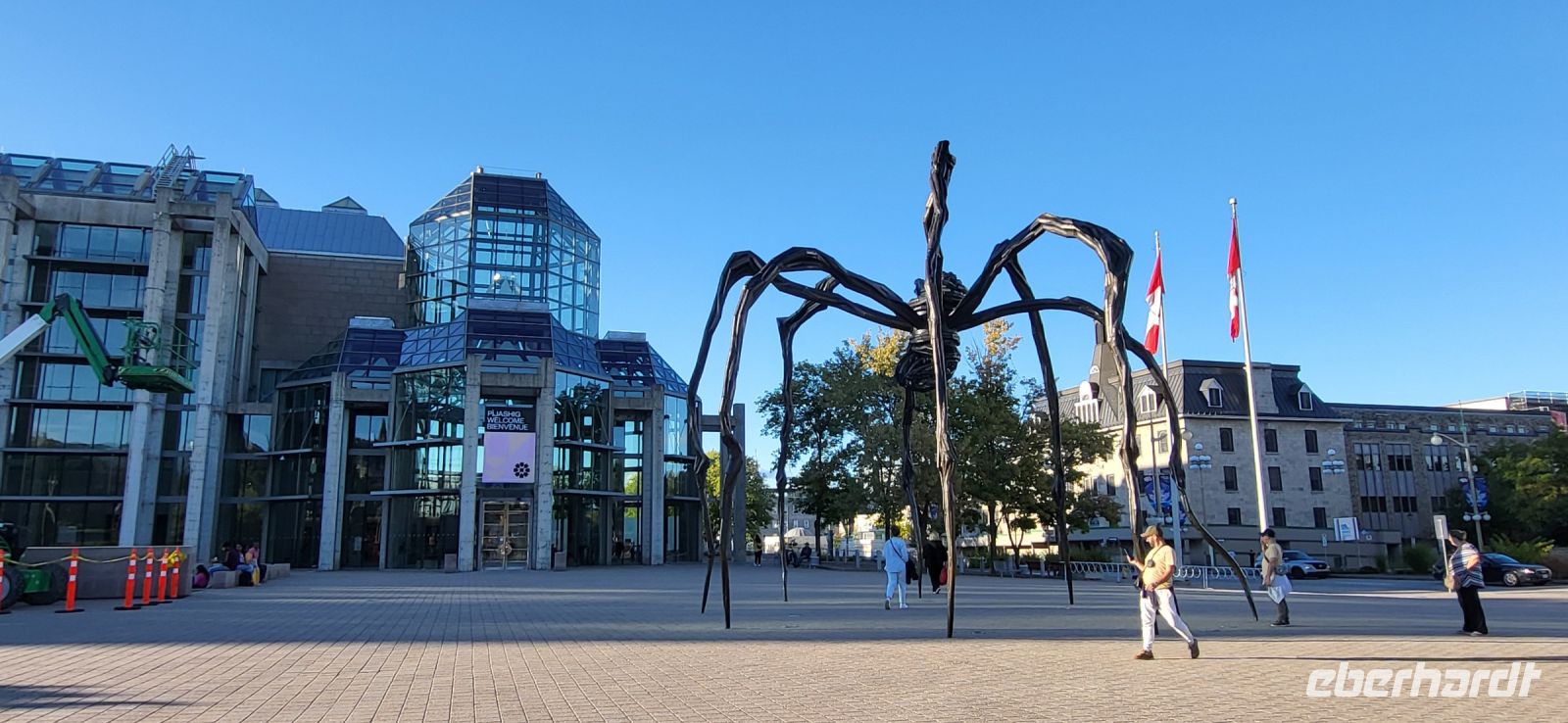 79 Spinne am Kunstmuseum